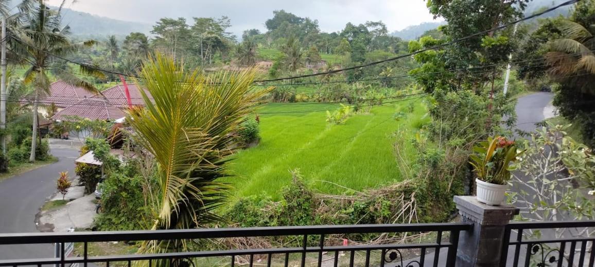 Giri Swari Homestay 시데멘 외부 사진